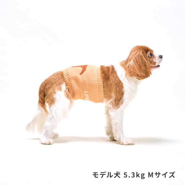 画像4: LIFELIKE 恐竜はらまき (4)