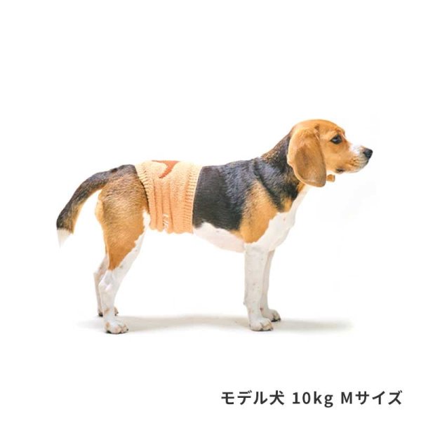 画像5: LIFELIKE 恐竜はらまき (5)