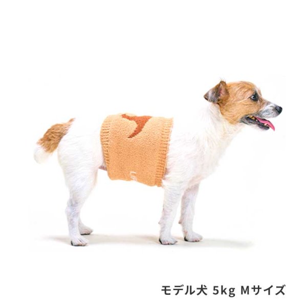 画像3: LIFELIKE 恐竜はらまき (3)