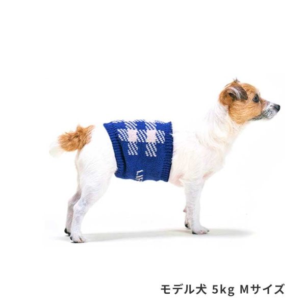 画像6: LIFELIKE ブロックチェックはらまき (6)