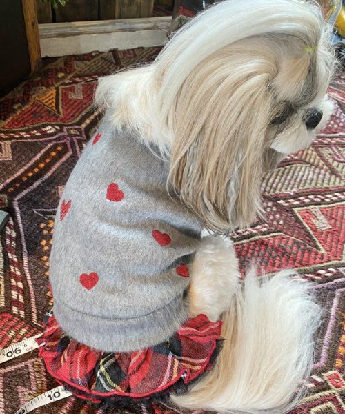 画像6:  【10％OFF】 【as know as de wan】ＮきりっとCHKSK (6)