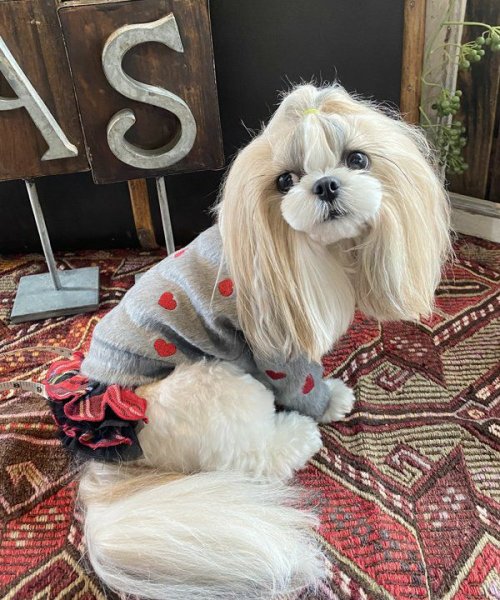 画像5:  【10％OFF】 【as know as de wan】ＮきりっとCHKSK (5)