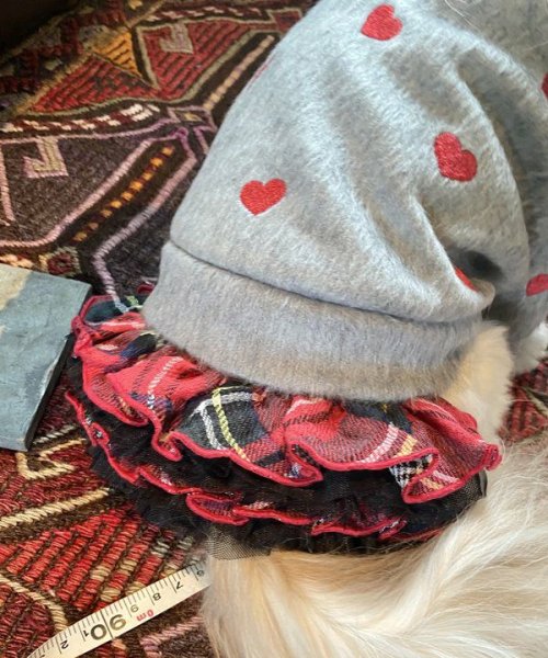 画像4:  【10％OFF】 【as know as de wan】ＮきりっとCHKSK (4)