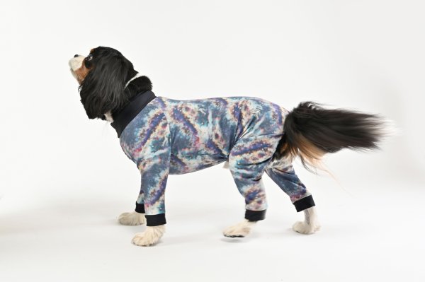 画像2:  10％OFF 【キャバスーツ SPANGLE】Mercury（マーキュリー） (2)