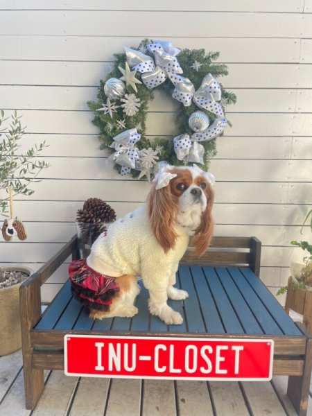 画像9:  【10％OFF】 【as know as de wan】ＮきりっとCHKSK (9)