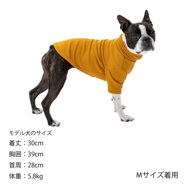 画像14: BASIC RIB T-SHIRT ベーシックリブＴシャツ (14)