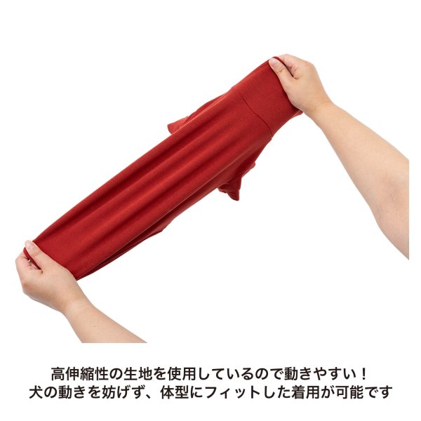 画像9: BASIC RIB T-SHIRT ベーシックリブＴシャツ (9)