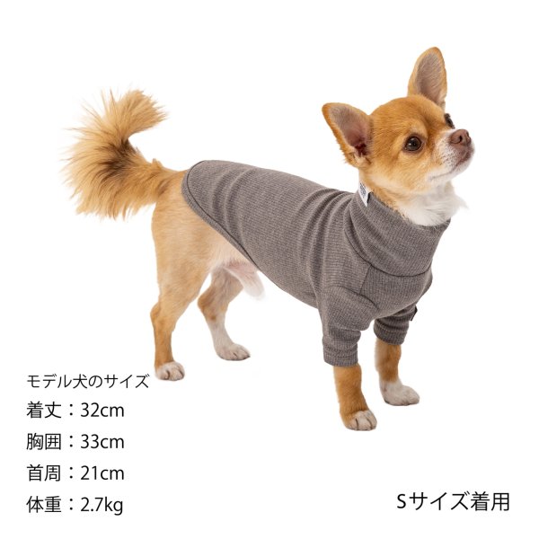 画像12: BASIC RIB T-SHIRT ベーシックリブＴシャツ (12)