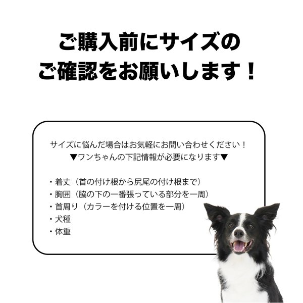 画像22: BASIC RIB T-SHIRT ベーシックリブＴシャツ (22)