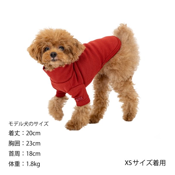 画像11: BASIC RIB T-SHIRT ベーシックリブＴシャツ (11)