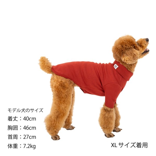 画像17: BASIC RIB T-SHIRT ベーシックリブＴシャツ (17)