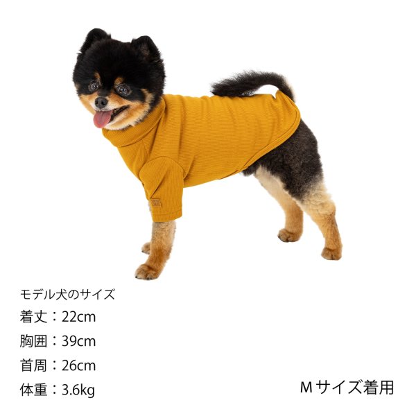 画像13: BASIC RIB T-SHIRT ベーシックリブＴシャツ (13)