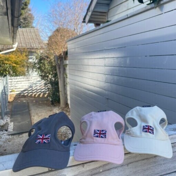 画像9: イヌクロキャップ2025 (9)