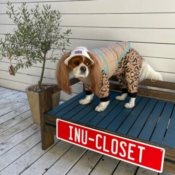 画像6: イヌクロキャップ2025 (6)