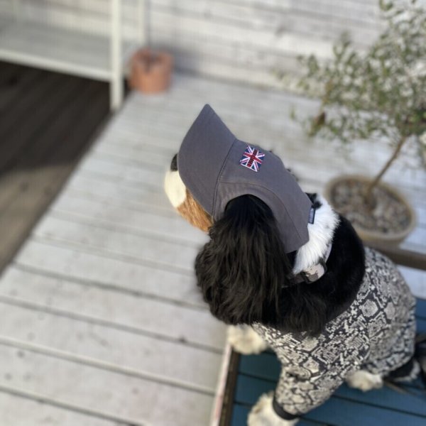 画像17: イヌクロキャップ2025 (17)