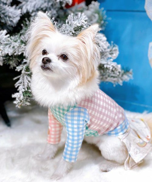 画像10:  【10%OFF】 【as know as de wan】NカラフルロンT お着替えシリーズ (10)