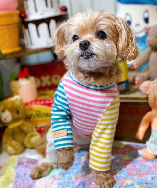 画像4:  【10%OFF】 【as know as de wan】NカラフルロンT お着替えシリーズ (4)