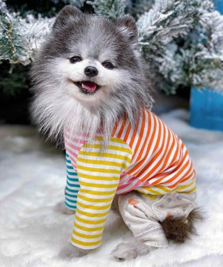 as know as de wan - INU－CLOSET