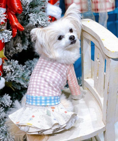 画像9:  【10%OFF】 【as know as de wan】NカラフルロンT お着替えシリーズ (9)