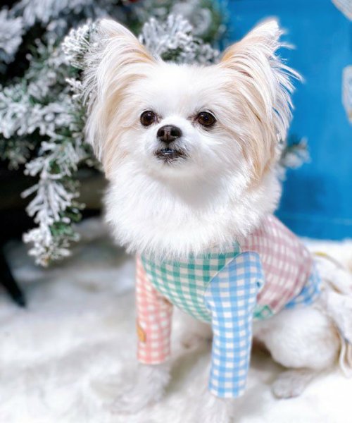 画像12:  【10%OFF】 【as know as de wan】NカラフルロンT お着替えシリーズ (12)