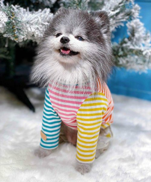 画像2:  【10%OFF】 【as know as de wan】NカラフルロンT お着替えシリーズ (2)