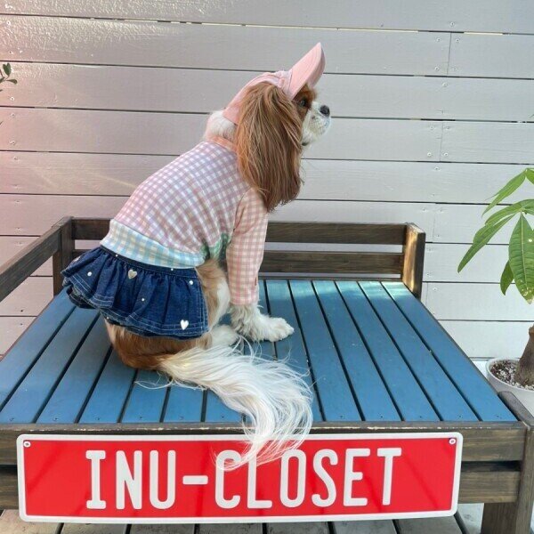 画像20: イヌクロキャップ2025 (20)