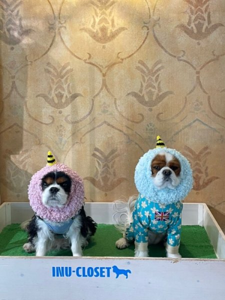 画像3: 鬼っ子スヌード(ピンク・グリーン) (3)