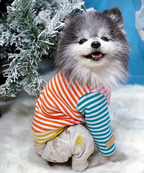 画像3:  【10%OFF】 【as know as de wan】NカラフルロンT お着替えシリーズ (3)