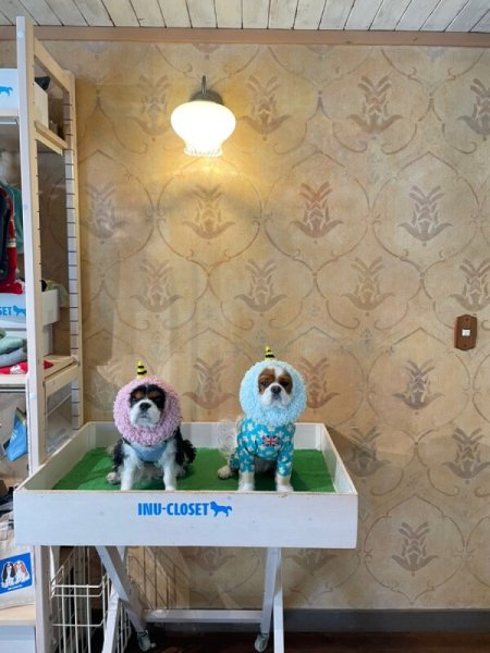 画像2: 鬼っ子スヌード(ピンク・グリーン) (2)