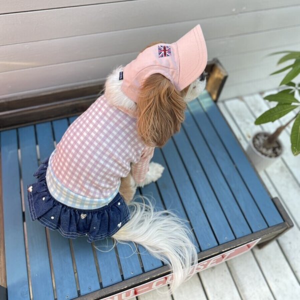 画像19: イヌクロキャップ2025 (19)