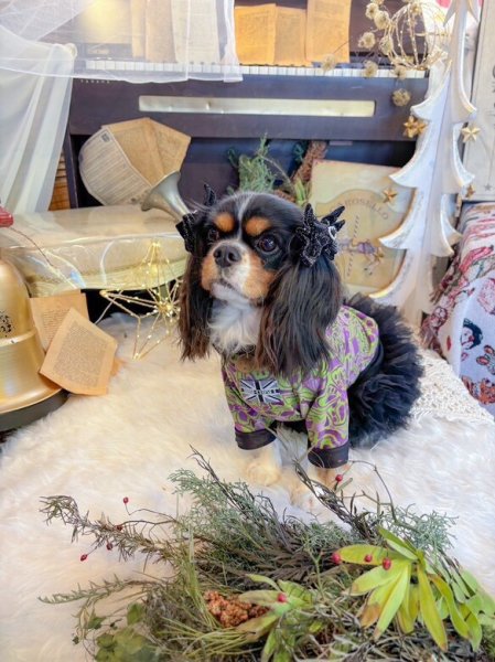 画像4:  30%OFF 【CAVA TEE】Versailles（ヴェルサイユ） (4)