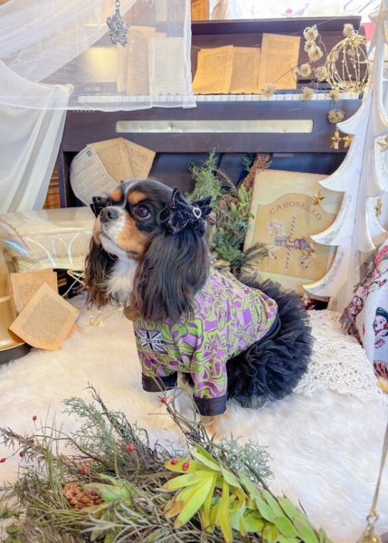 画像3:  30%OFF 【CAVA TEE】Versailles（ヴェルサイユ） (3)