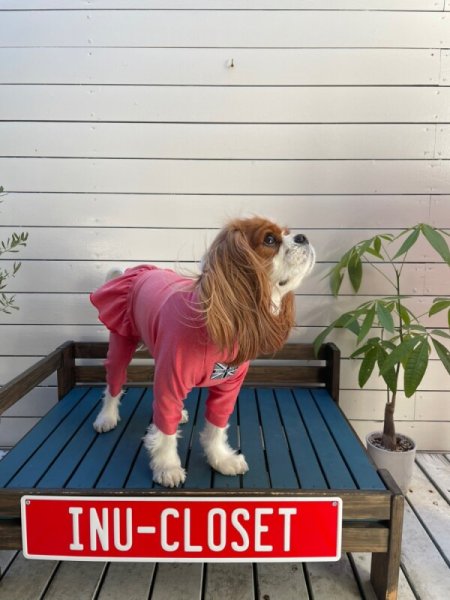 画像6:  2月新作 【キャバスーツ FRILL】GOLDFISH (6)