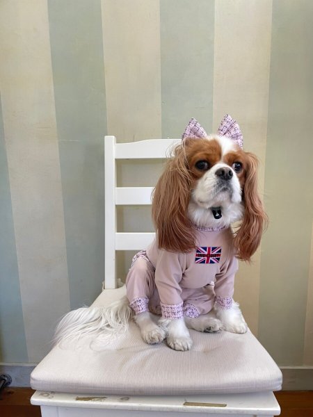 画像12:  人気★再販 【キャバスーツ FRILL】PINK TWEED (12)