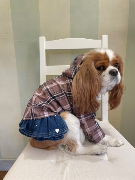 画像7:  【10%OFF】 【as know as de wan】ハートチェックPK (7)