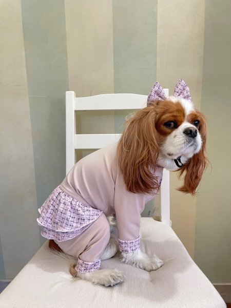 画像11:  人気★再販 【キャバスーツ FRILL】PINK TWEED (11)
