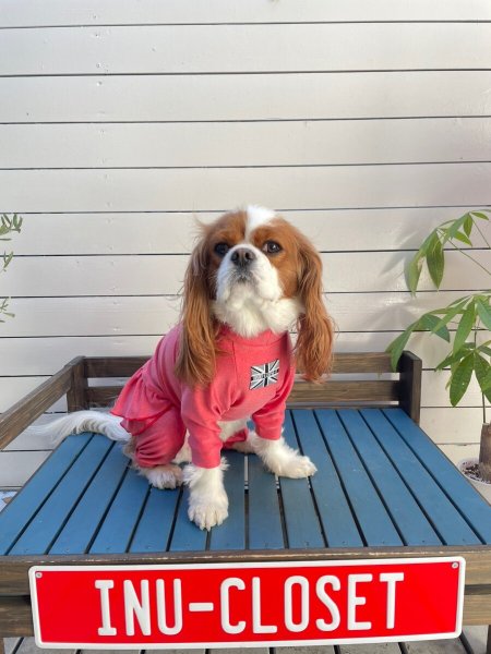 画像2:  2月新作 【キャバスーツ FRILL】GOLDFISH (2)