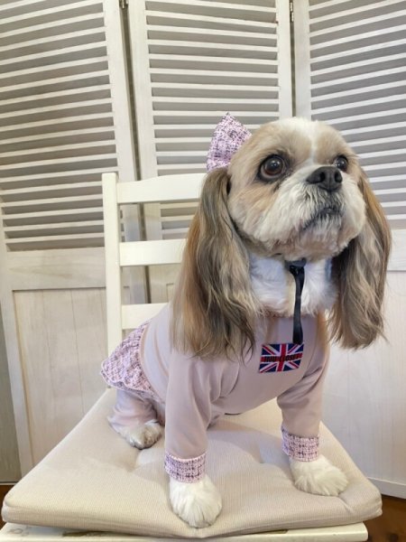 画像5:  人気★再販 【キャバスーツ FRILL】PINK TWEED (5)