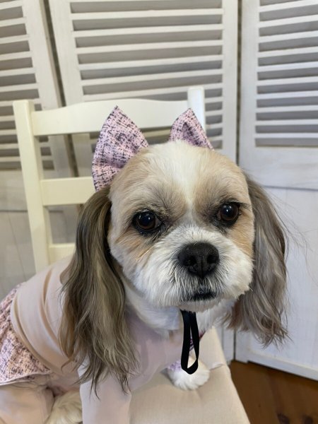 画像2:  人気★再販 【キャバスーツ FRILL】PINK TWEED (2)