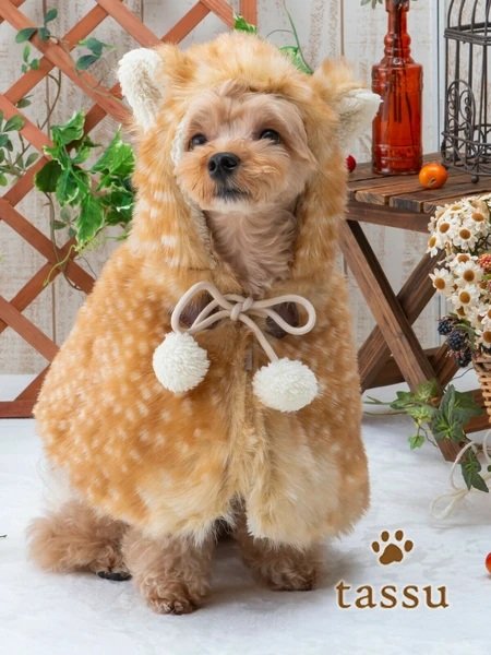 画像6: バンビファー耳付きポンチ (6)