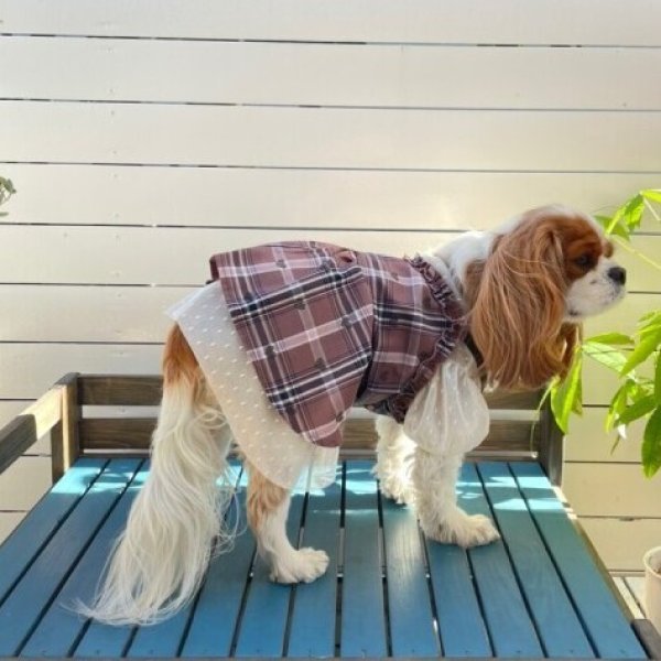 画像3:  【10%OFF】 【as know as de wan】SweetショコラOP (3)