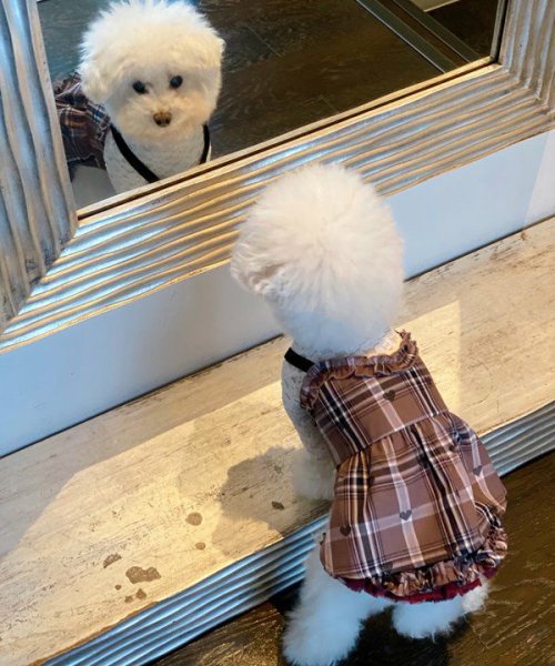 画像4:  【10%OFF】 【as know as de wan】N SweetショコラSK (4)