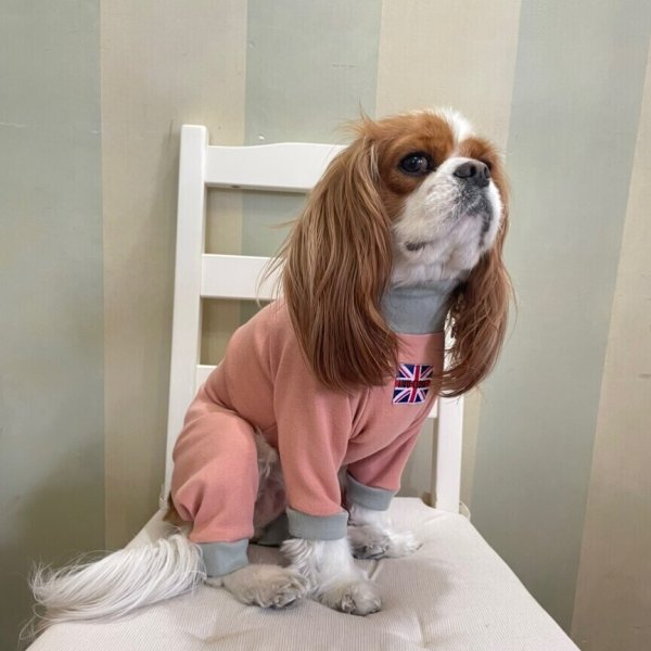 画像5:  10％OFF 【キャバスーツ おくるみ】うすもも (5)