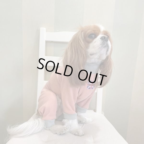 画像5:  10％OFF 【キャバスーツ おくるみ】うすもも (5)