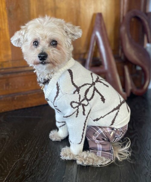 画像5:  【10%OFF】 【as know as de wan】N SweetショコラPT (5)