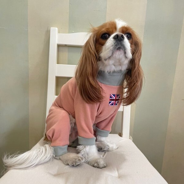 画像6:  10％OFF 【キャバスーツ おくるみ】うすもも (6)