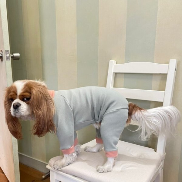 画像4:  10％OFF 【キャバスーツ おくるみ】抹茶 (4)