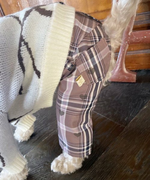 画像3:  【10%OFF】 【as know as de wan】N SweetショコラPT (3)