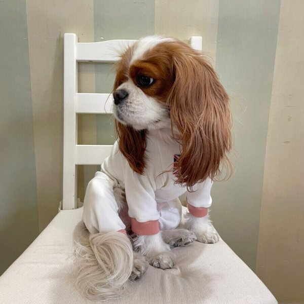 画像5: 【キャバスーツ おくるみ】きなり × うすもも (5)