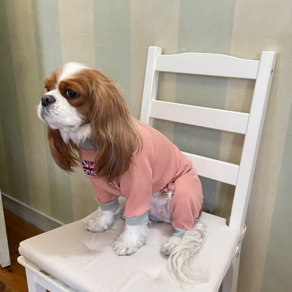 画像7:  10％OFF 【キャバスーツ おくるみ】うすもも (7)